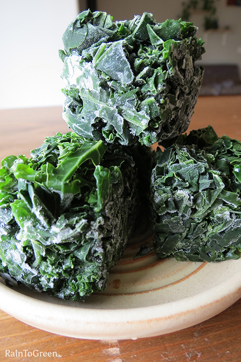 Frozen kale cubes